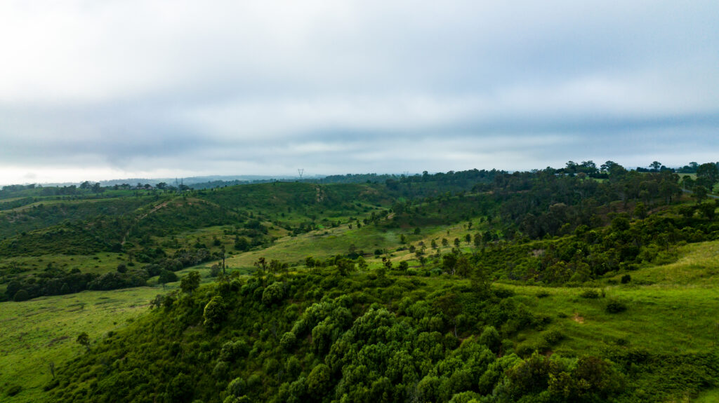 Green hills near Picton